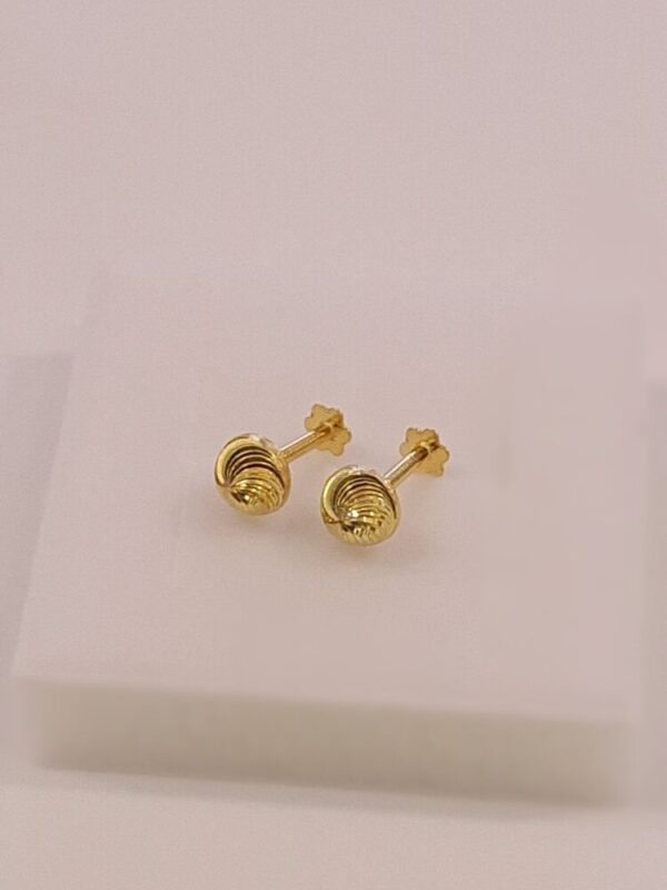9ct Gold Ear Studs